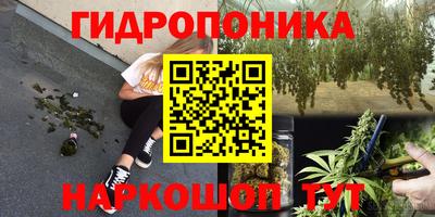 крисы Каменск-Шахтинский