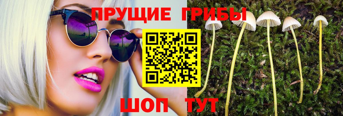Галлюциногенные грибы мухоморы  Псилоцибиновые грибы Psilocybine cubensis  Вход с VPN  Богородицк 