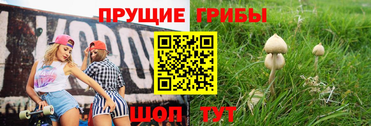 Галлюциногенные грибы мицелий Богородицк